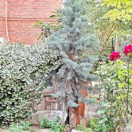 Апартаменты Despina's Yard Салоники