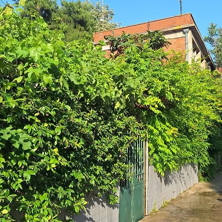 Διαμέρισμα Despina's Yard